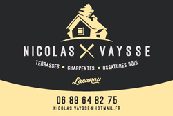 Logo Nicolas Vaysse